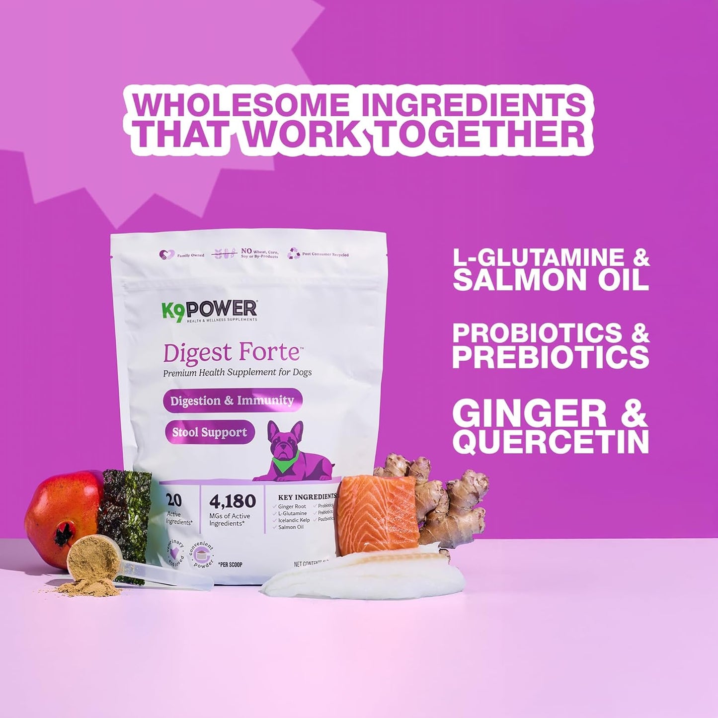 K9 Power Digest Forte for Dogs 1lb – Digestive, Immunity & Calming Support - Enhances Nutrient Absorption - Balances Gut Flora - Eases Discomfort & Boost Mood