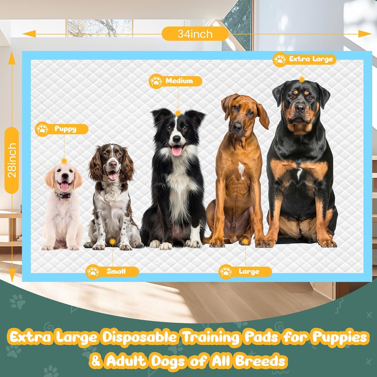 100 Count Extra Large Dog Pee Pads 28" x 34", Super Absorbent X-Large Puppy Pads Disposable Training Pads for Dogs, Quick Drying Leak-Proof Dog Potty Pads for Doggies Puppies