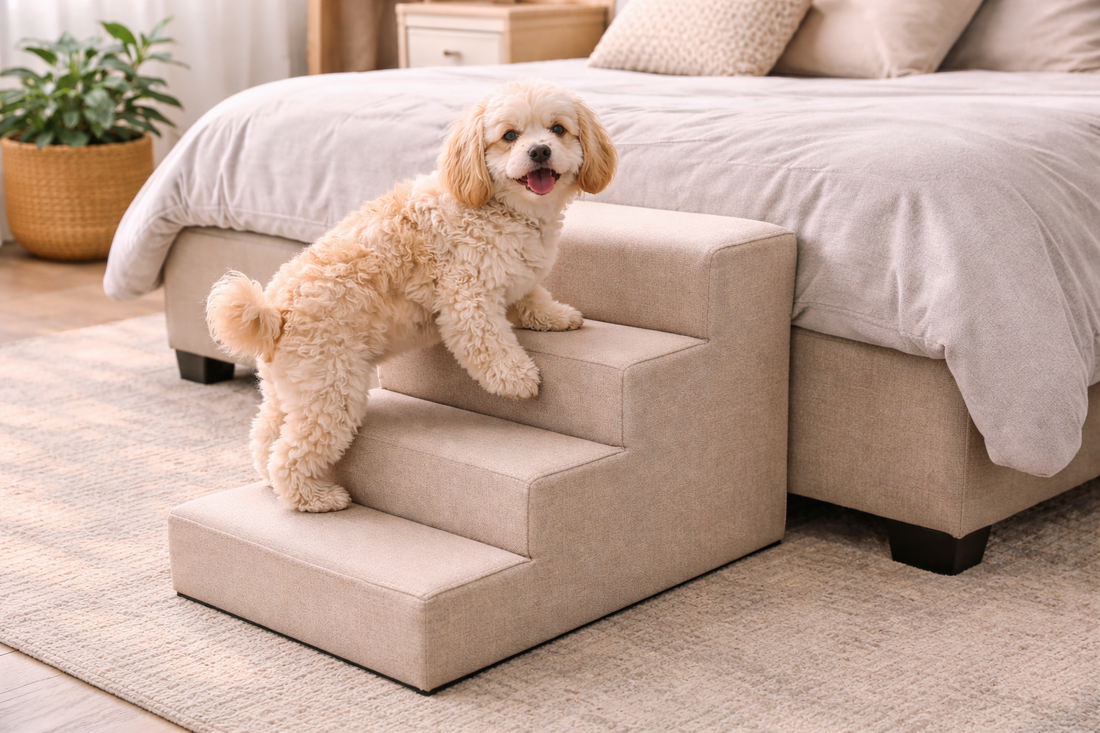 How Pet Stairs Support Safer Movement in Multi-Level Homes