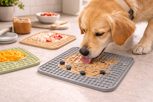 How Lick Mats Turn Mealtime Into Mental Enrichment