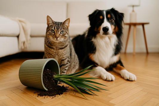 Pet Safety at Home: Simple Mistakes Owners Don’t Realize They’re Making