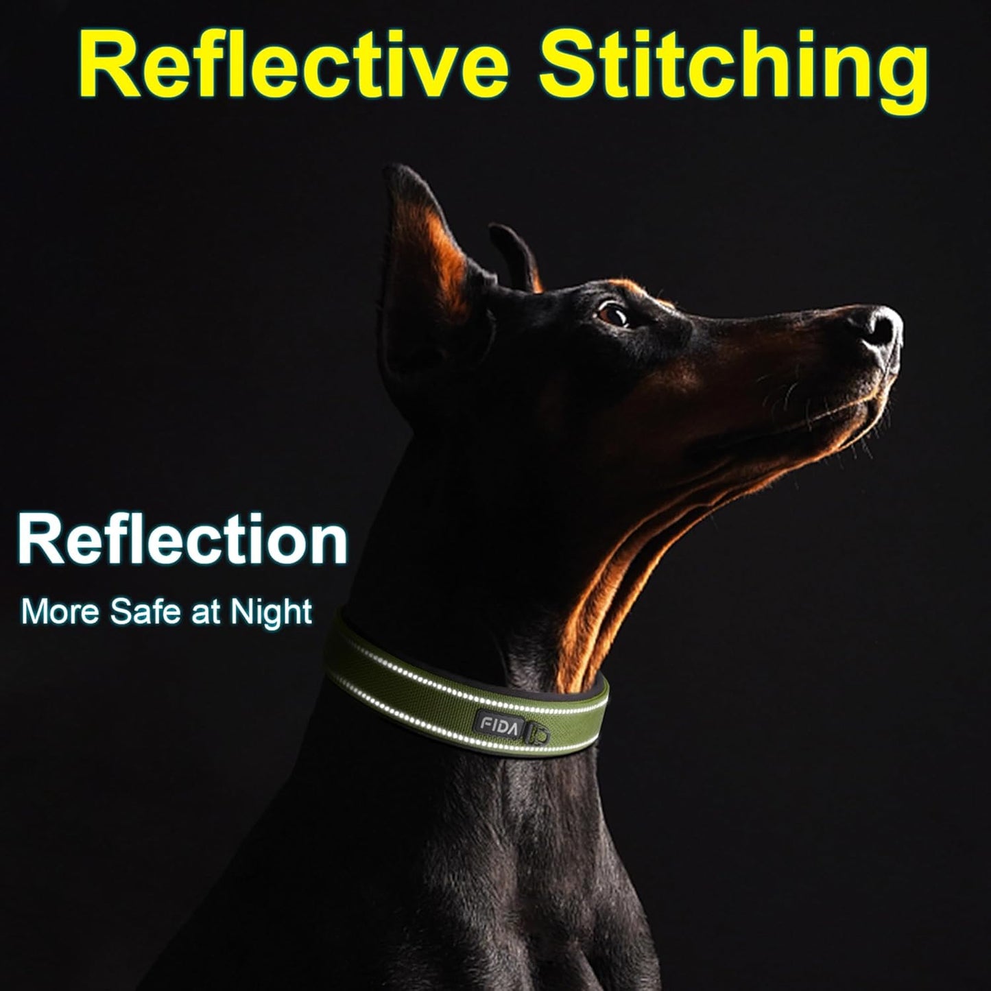 Fida Heavy Duty Dog Collar, Ultra Comfortable Soft Neoprene Padded, Adjustable Reflective Nylon Pet Collar with Durable Metal Belt Buckle for Small Breeds (S, Green)