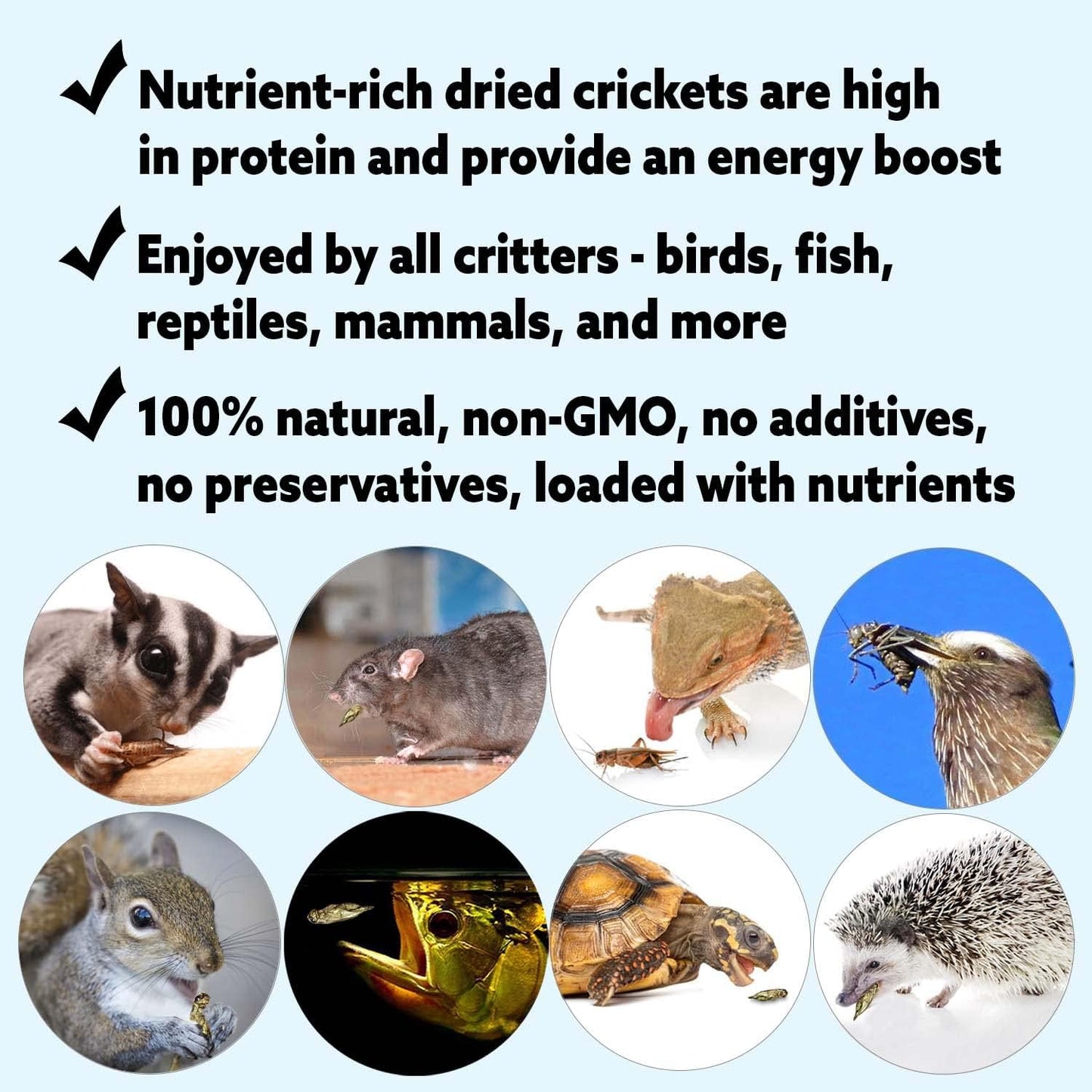 1/2 Pound Dried Crickets - High Protein Insect Treat - Chickens, Wild Birds, Hedgehogs, Bluebirds, Reptiles, Sugar Gliders, Opossums, Skunks, Lizards, Bearded Dragons, Fish, Turtles 8 oz. (1 Pack)