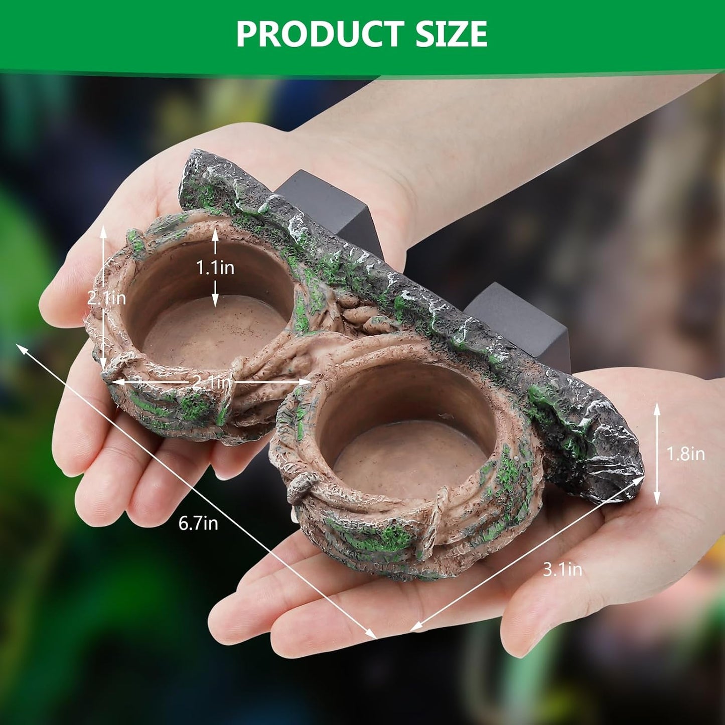 Magnetic Reptile Feeding Ledge, Gecko Feeder Ledge with One Piece Cup, Hollow Vine Food Dish, Reptile Water Bowl for Bearded Dragon Lizard Snake
