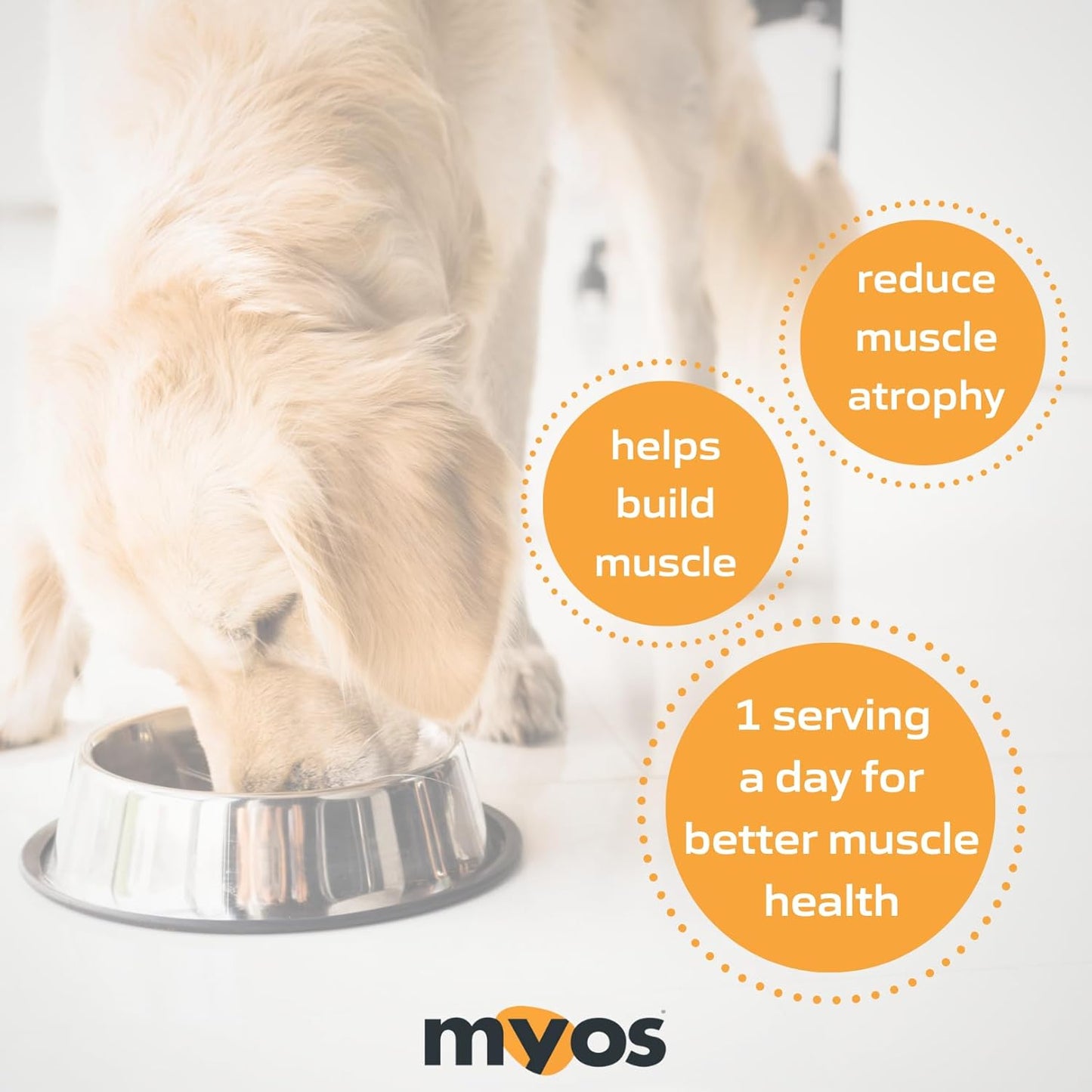 MYOS Canine Muscle Formula - All-Natural Muscle Building Supplement - Helps Reduce Muscle Loss in Dogs Due to Normal Aging and Improves Recovery from Injury or Surgery
