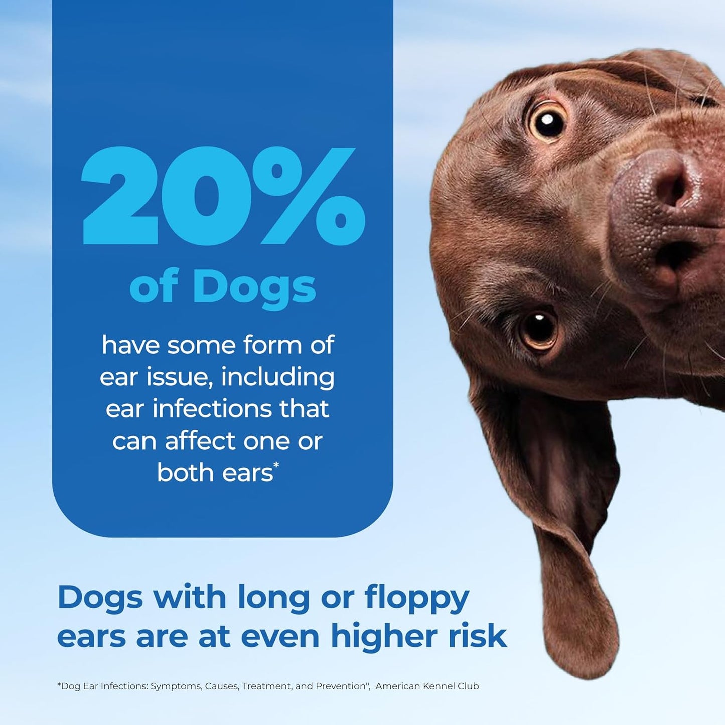 Vetnique Oticbliss Cat & Dog Ear Infection Treatment Drops - with 1% Hydrocortisone & MicroSilver BG for Dog Ear Infections - Vet Recommended Cat & Dog Ear Cleaner for Itchy Ear Relief