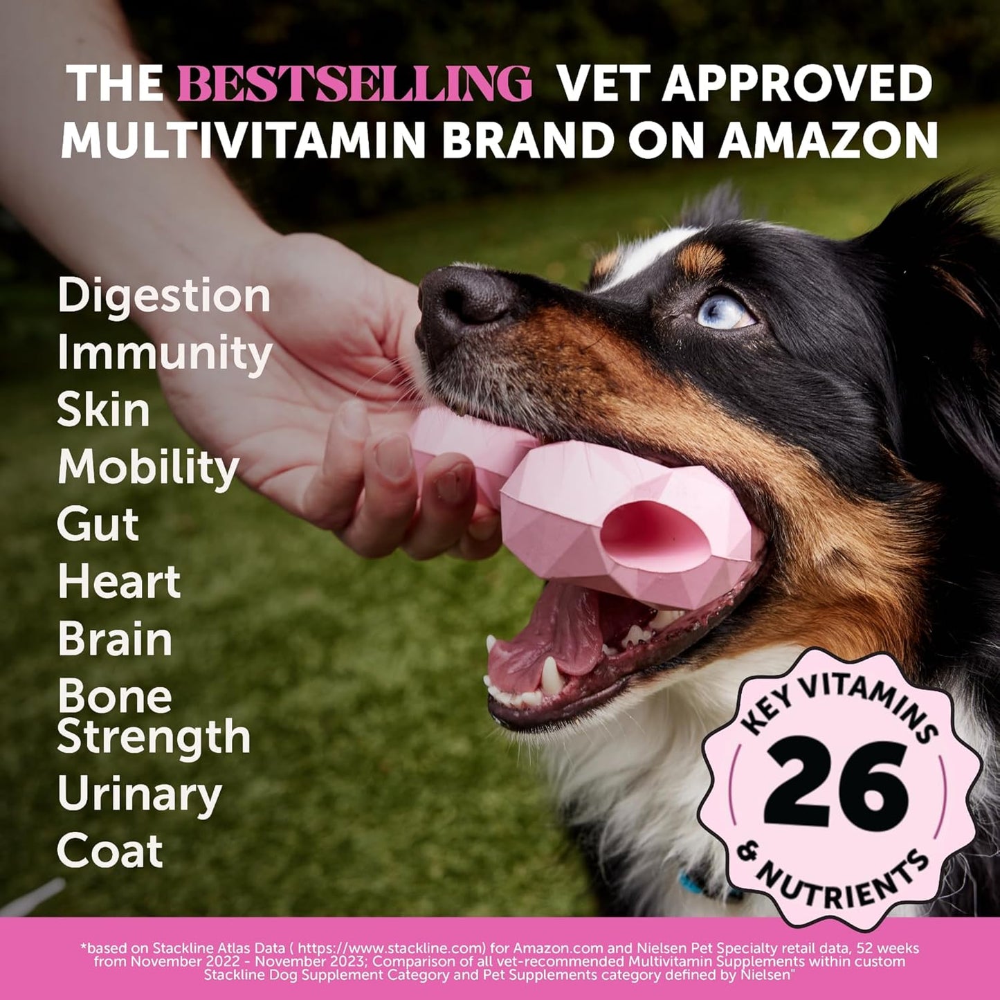 Dog Multivitamin - 10 in 1 Dog Vitamins for Health & Heart - Omega Fish Oil, Glucosamine & Probiotics - Dog Vitamins and Supplements for Skin and Coat (Chicken 180 ct)