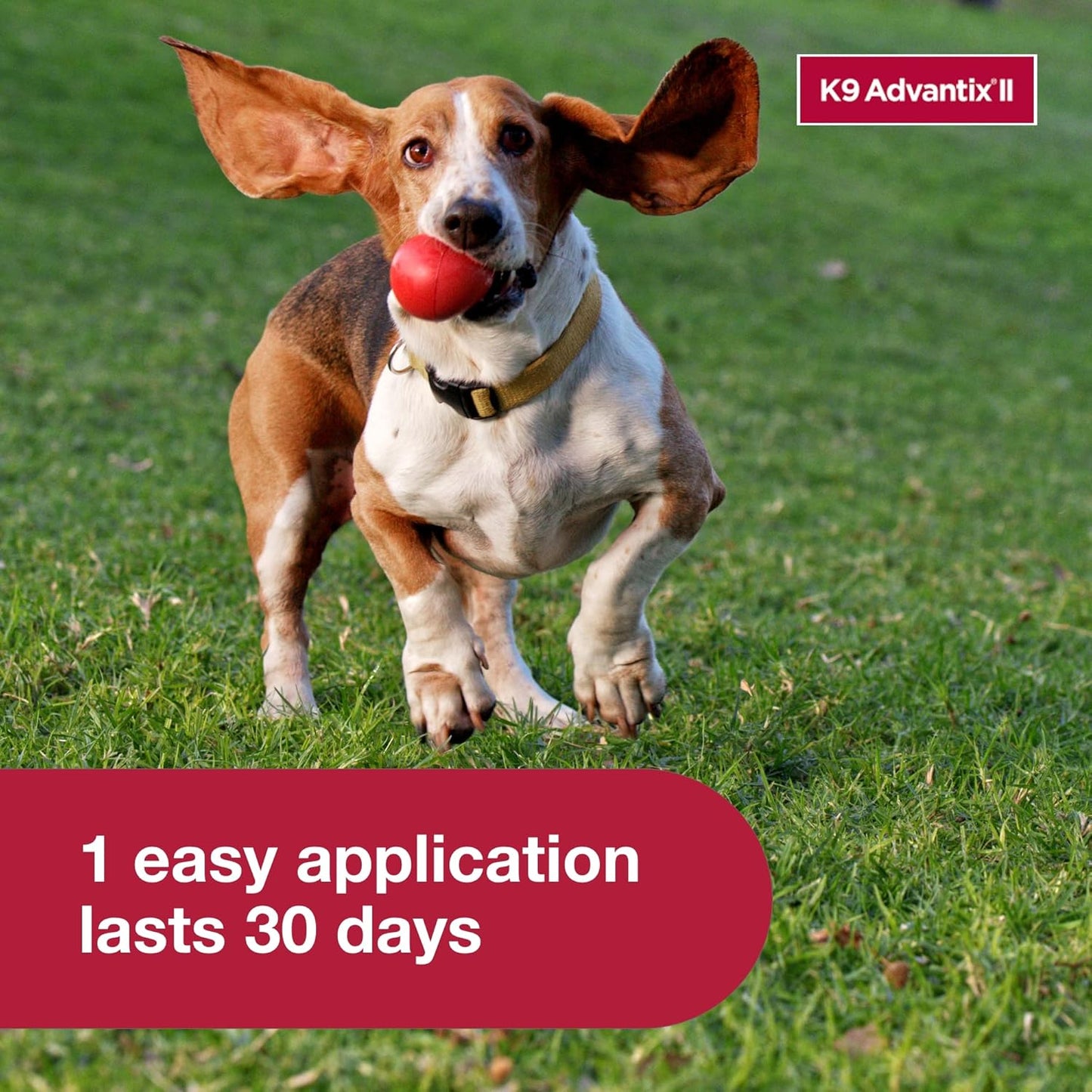 K9 Advantix II Small Dog Vet-Recommended Flea, Tick & Mosquito Treatment & Prevention | Dogs 4-10 lbs. | 2-Mo Supply