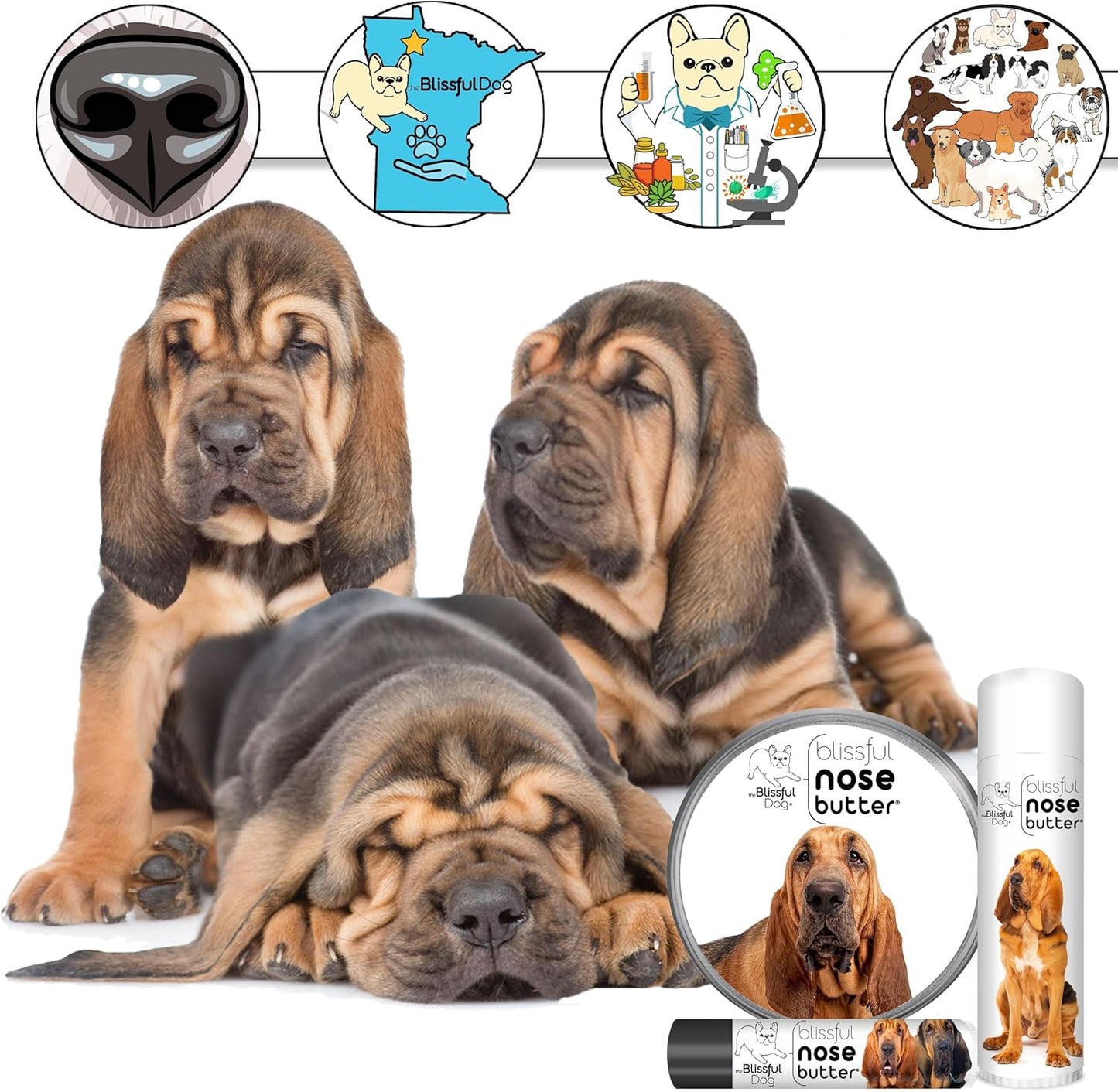 The Blissful Dog Fawn Boxer Nose Butter for Dry, Cracked Skin, Lick-Safe Dog Nose Balm with Moisturizing Shea Butter, Almond, Olive, and Essential Oils, Pet Supplies, Uncented, 1 oz.