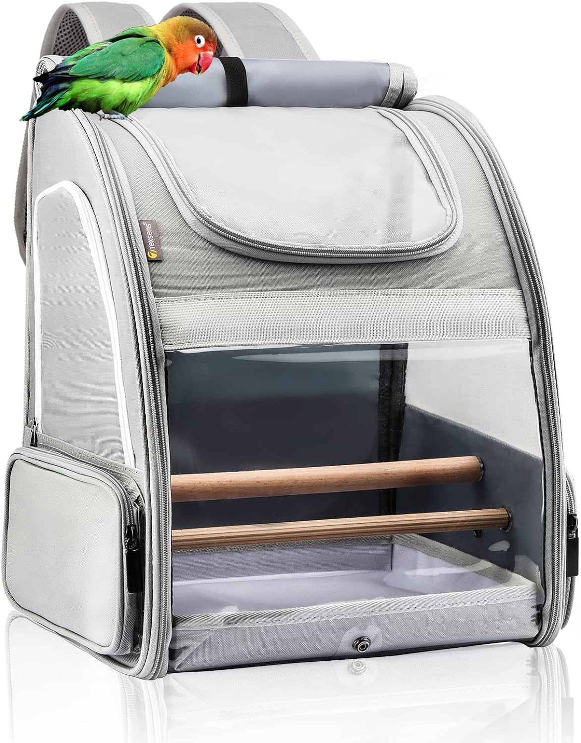 Texsens Bird Carrier Backpack - Pet Travel Cage with Upgraded Tray and Standing Perches, Breathable & Portable, for Small Birds, Green Cheek, Cockatiel, Parrot (Grey)