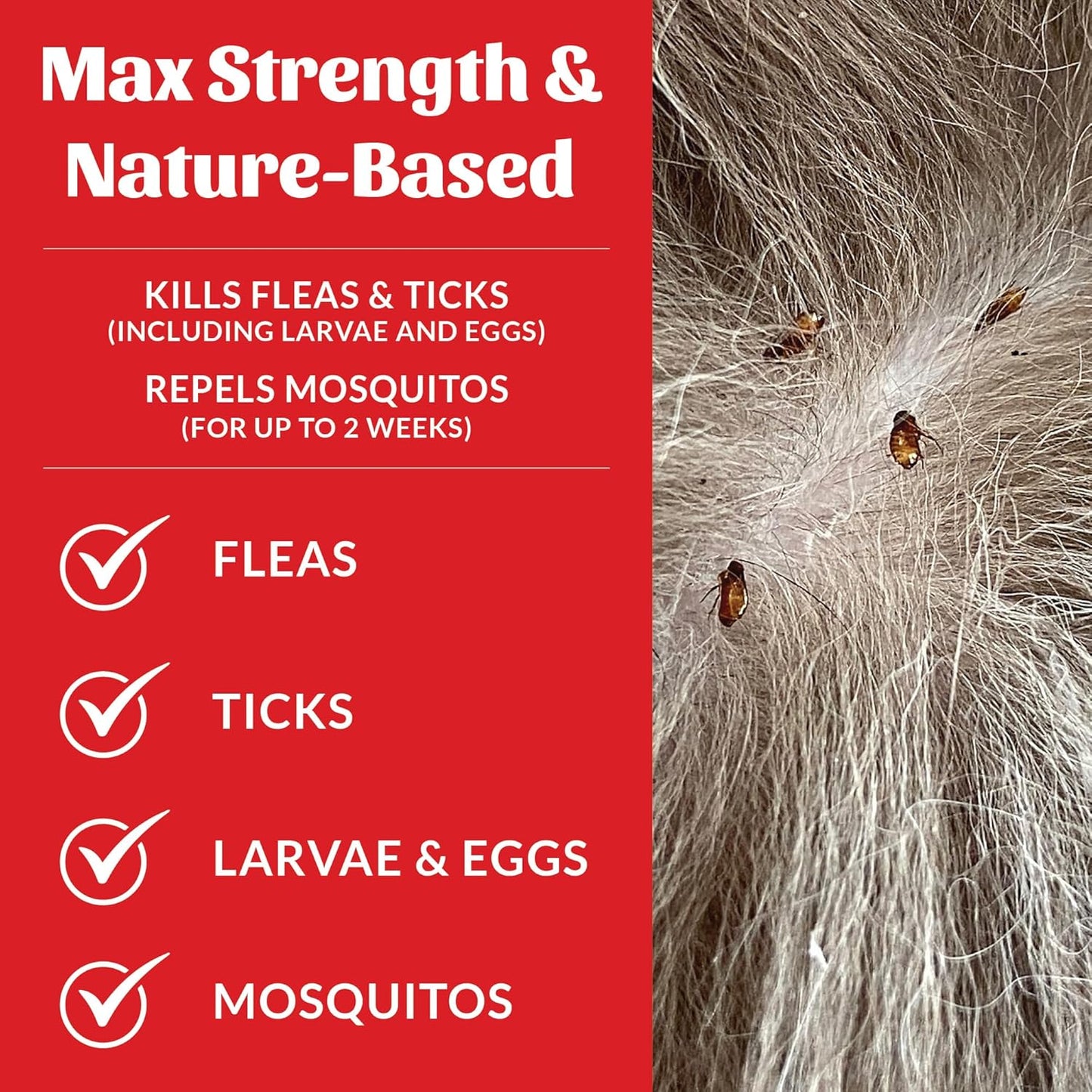 Skout's Honor Flea and Tick Yard Spray - Natural Peppermint & Cedarwood Formula, Helps to Protect from and Against Fleas, Ticks and Mosquitos, Covers upt o 5,000 Sq F, 32 oz.
