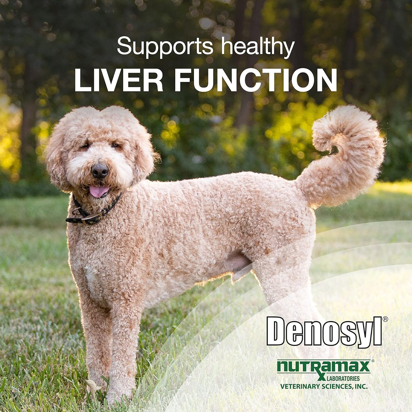 Nutramax Laboratories Denosyl Liver and Brain Health Supplement for Large Dogs, With S-Adenosylmethionine (SAMe), 30 Tablets