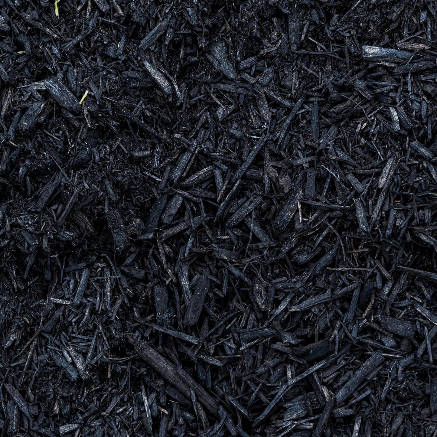 Premium Black Wood Mulch for Landscaping, Gardens, Lawns, Potting Media, and Potted Plants (0.2 CF - 4.8 L - 5 QTS)